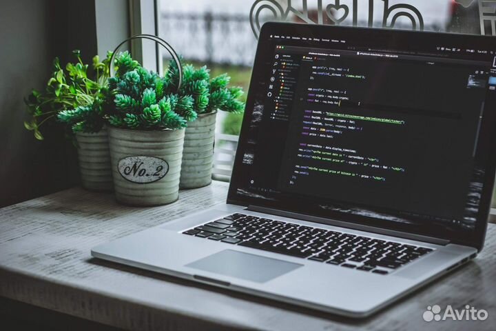Репетитор по информатике/программированию