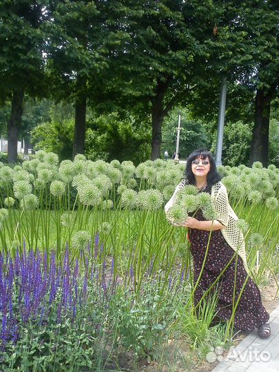 Професиональная сваха