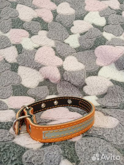 Ошейник для собак