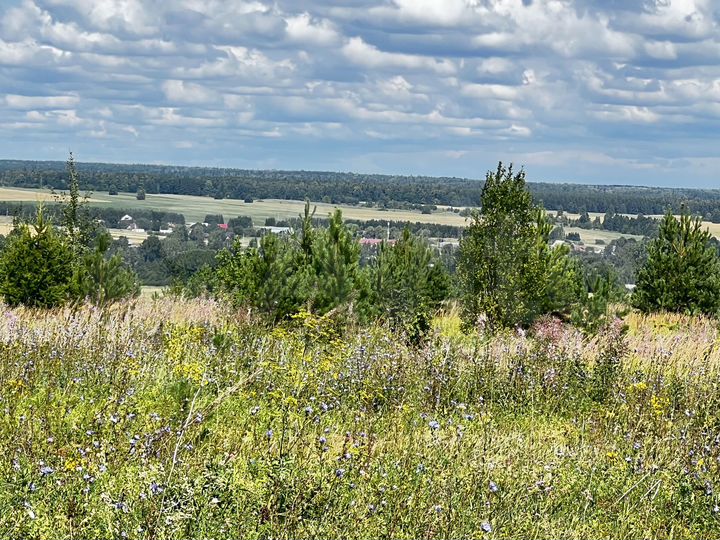 Участок 8,3 га (СНТ, ДНП)