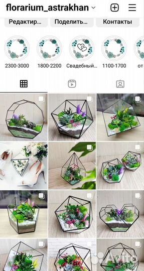Флорариум с суккулентами