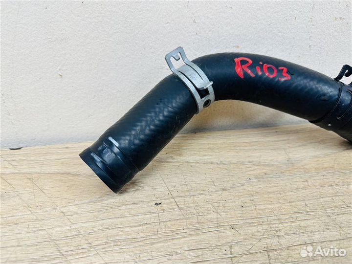 Патрубок радиатора Hyundai Solaris 1 2010-2016