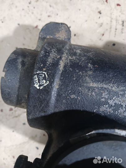 Гур,газель,собль