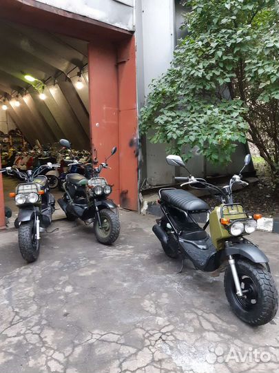 Honda zoomer для двоих из Японии