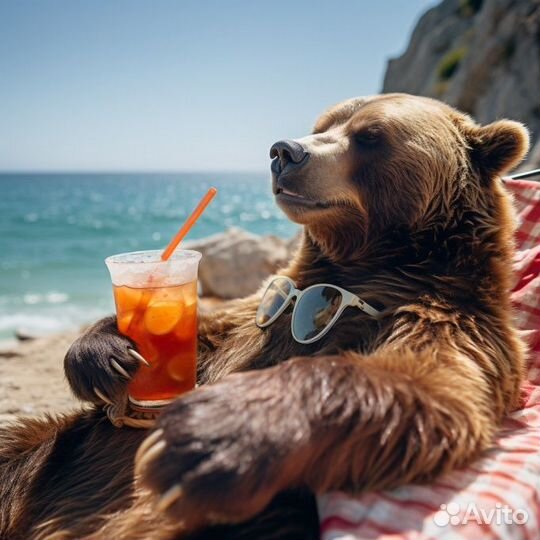 Живи там, где другие отдыхают