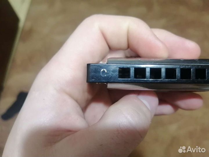 Губная гармоника