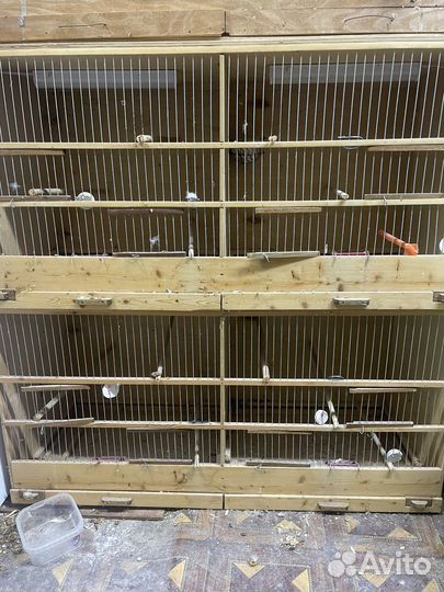 Клетка для кеноров