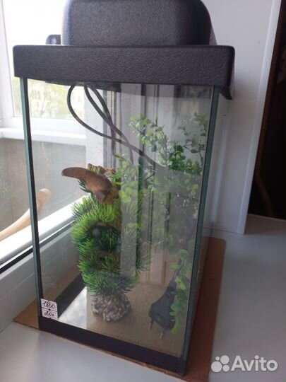 Аквариум 20л