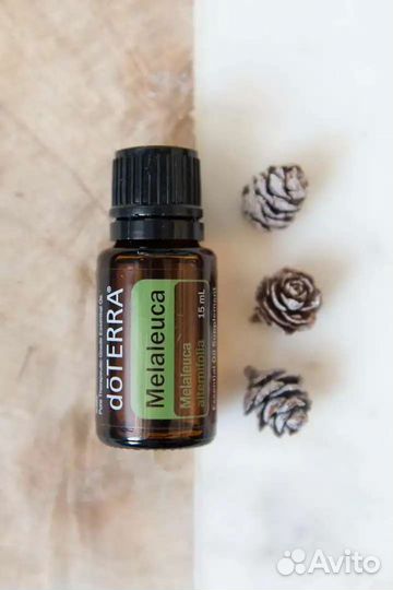 Чайное дерево эфирное масло