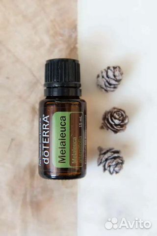 Чайное дерево эфирное масло