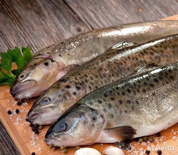 Форель (порционная и др.)