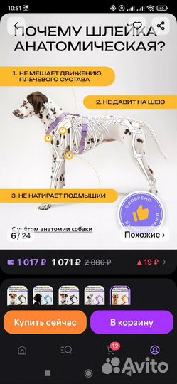 Анатомическая шлейка Pro comfort