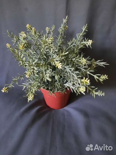 Искусственные цветы Икея