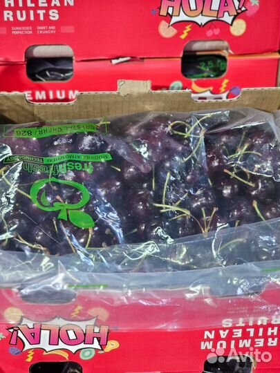 Черешня свежая