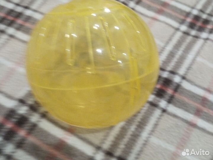 Шар для прогулок мелких грызунов