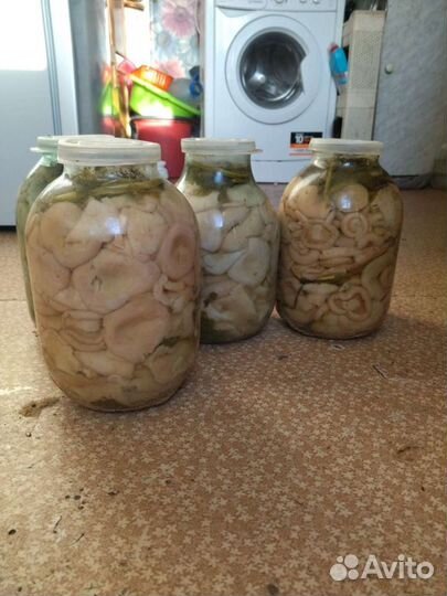 Белые грузди осталось мало