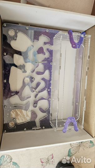 Формикарий муравьиная ферма