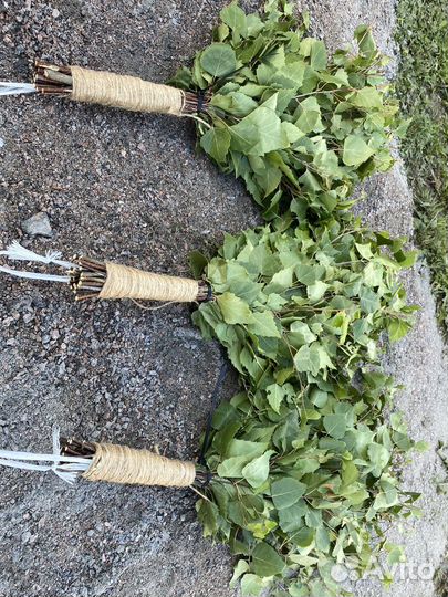 Березовый веник