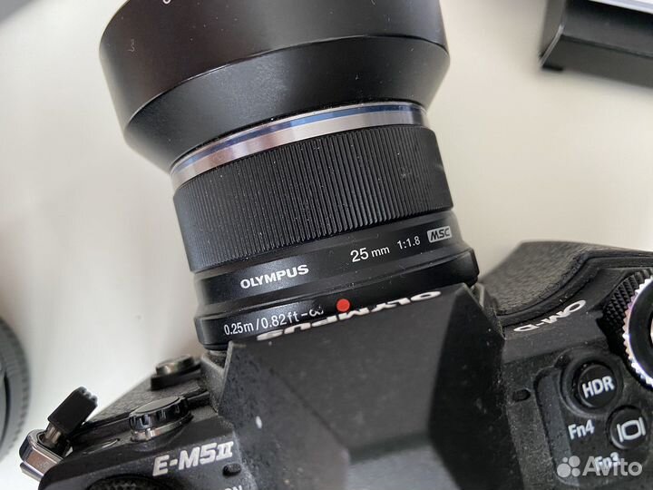 Olympus om d e m5 mark ii