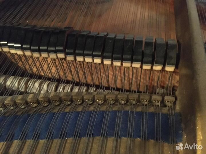 Продаю Рояль J Becker