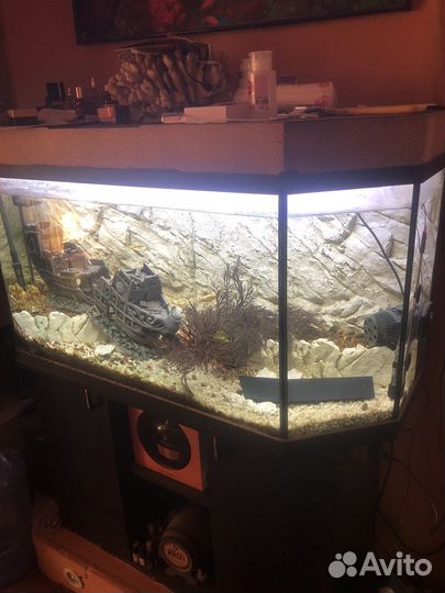 Аквариум