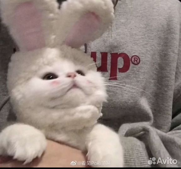 Восхищаюсь вашей игрой в доту