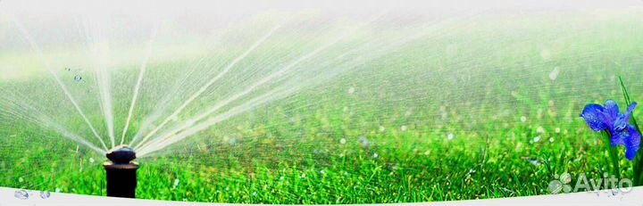 Укладка газона. Автополив. Газон, Озеленение