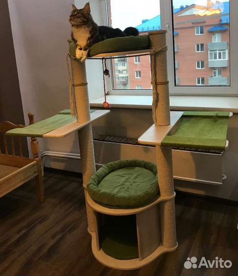 Когтеточка