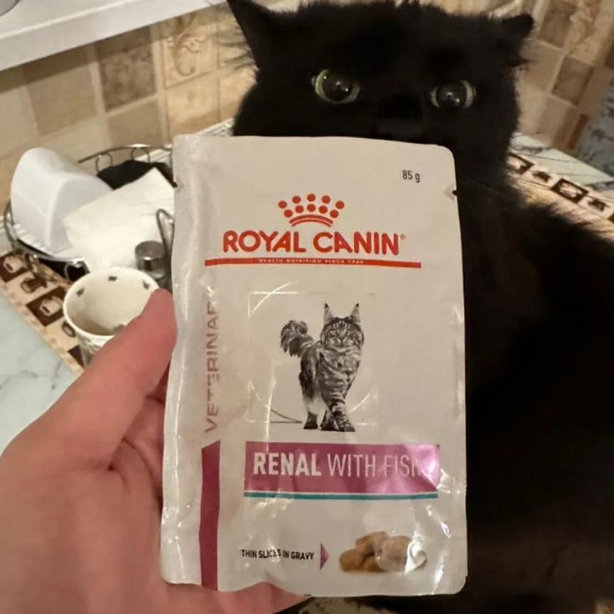 Влажный корм Royal Canin Renal c Рыбой