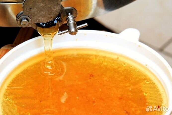 Мёд натуральный алтайский опт. min 16kg