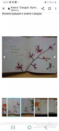 Японская поэзия хокку хайку Басё