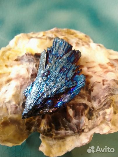 Чёрный Кианит Ведьмина метла с покрытием титаном