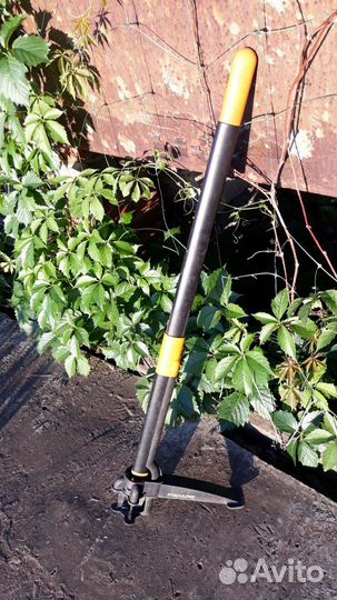 Средство от сорняков