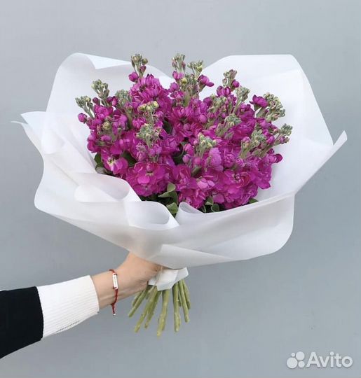 Маттиола букеты цветы доставка 24/7