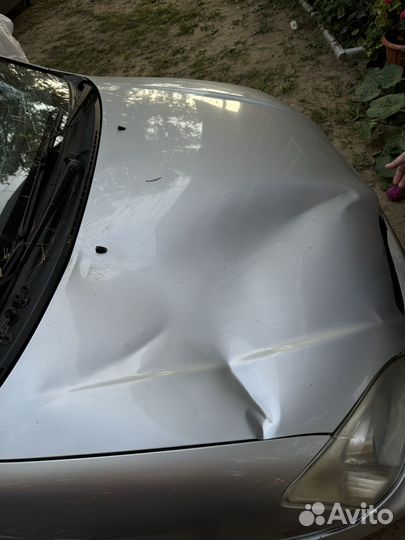 Капот королла е120 хечбек