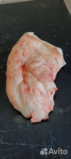 Жир курдюк и бараний обрезной с туш