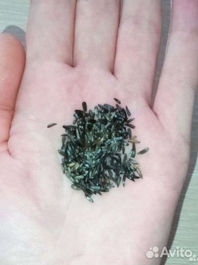 Для птиц: минеральная смесь, нуг, бисквиты, сера