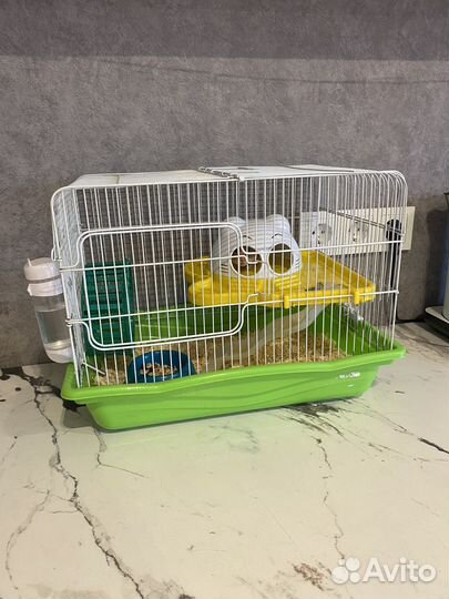 Хомяк с клеткой