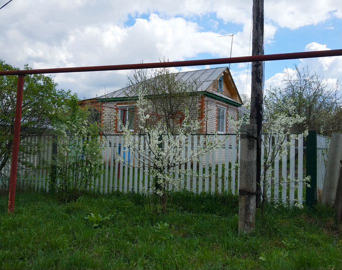 Авито починок. Новая Слобода Большеболдинский район. Новая Слобода Нижегородская область Большеболдинский район история. Пикшень Большеболдинский район здания нижегородагроснаба. Большое Казариново Большеболдинского района.