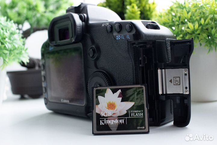 Canon 5d mark ii body