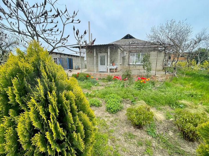 Дом 113 м² на участке 18 сот.