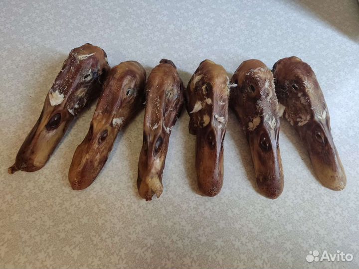 Лакомства для собак