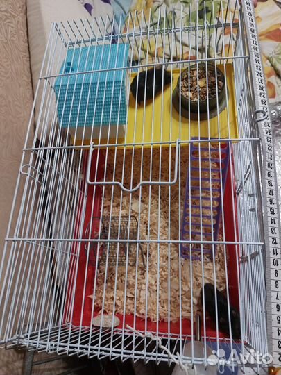 Клетка для грызунов