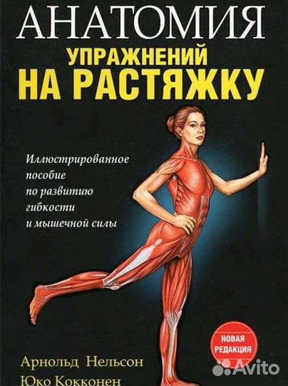 Анатомия упражнений на растяжку