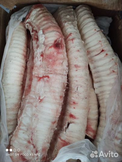 Рубец, обрезь, уши говяжьи,трахеи,почки,хвосты гов