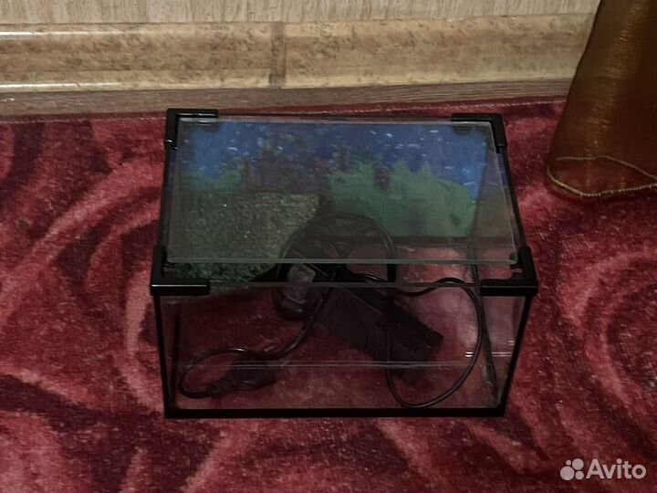 Черепашатник с фильтром