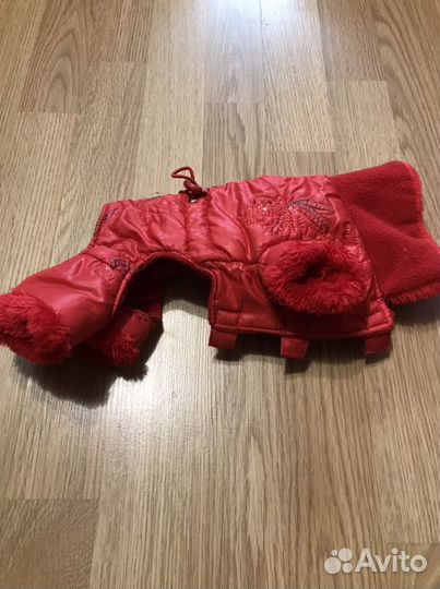 Одежда для собак