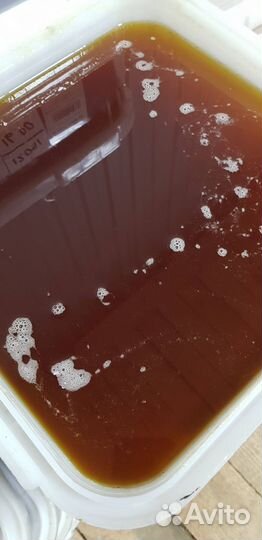 Мёд дягилевый опт свежий