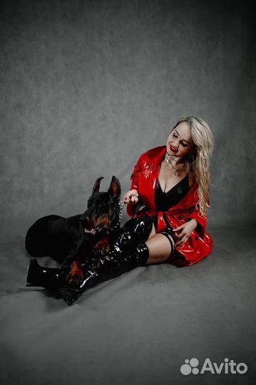 Фотосессия с доберманом