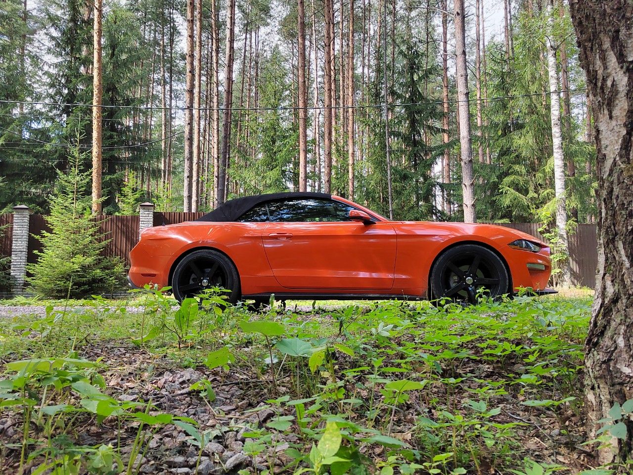 Ford Mustang: фото владельца